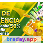 braday - WhatsApp: Guia Completo para Usuários Article Image 1