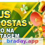 braday Ajuda - Central de Suporte Completa Article Image 1
